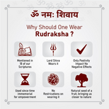 Rudraksha Mala with OM & TRISHUL Locket