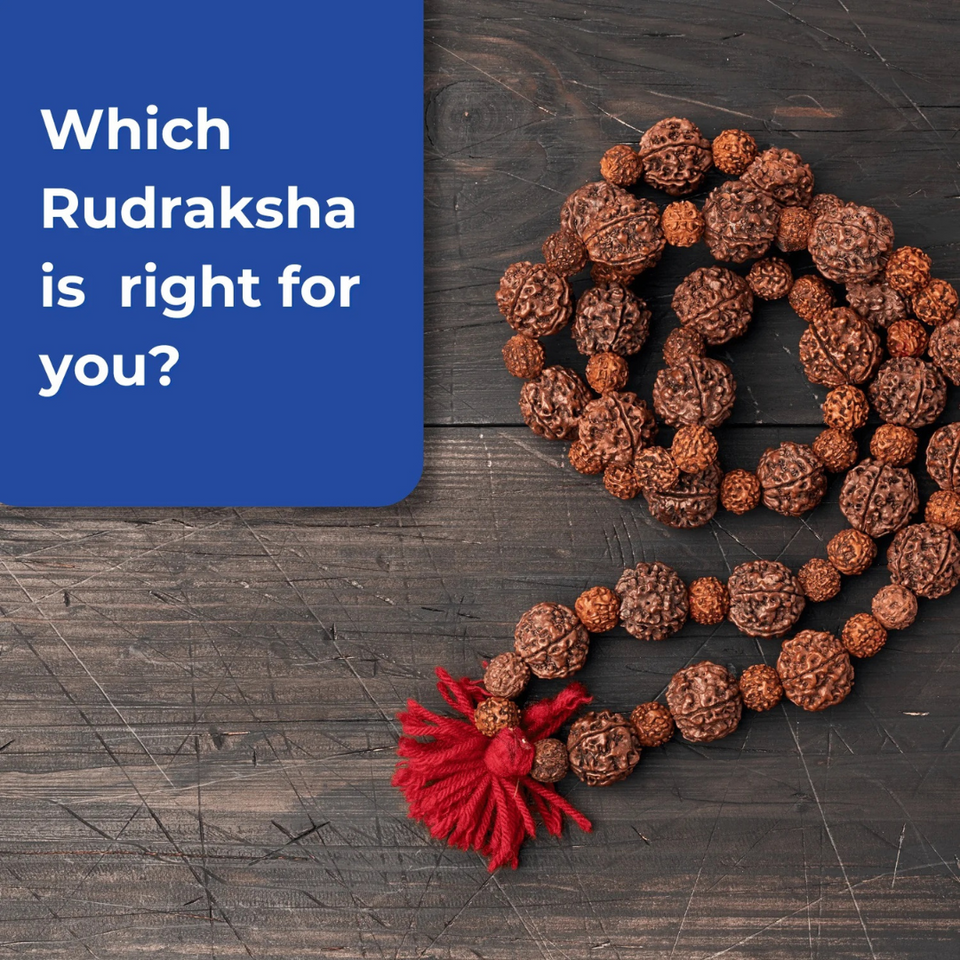 Rudraksha Suggestions